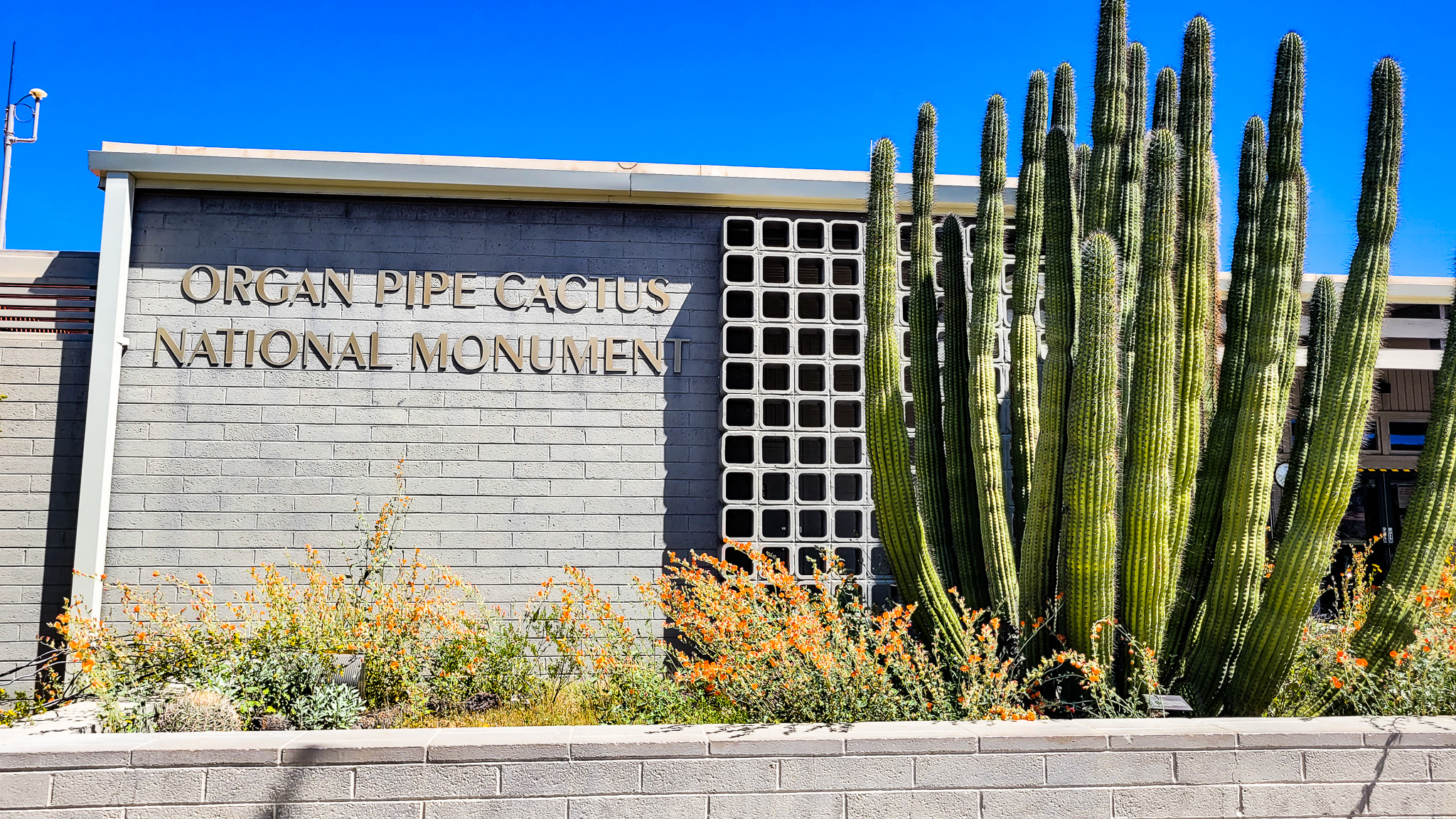 10 Important Tips for Camping at Twin Peaks Campground in Organ Pipe