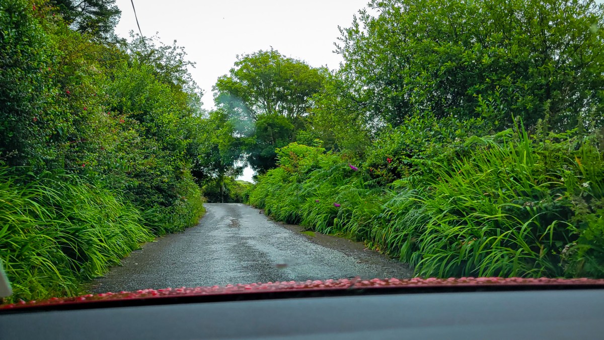 Ring of Kerry One Day Road Trip The Ultimate Adventure! MPA Project